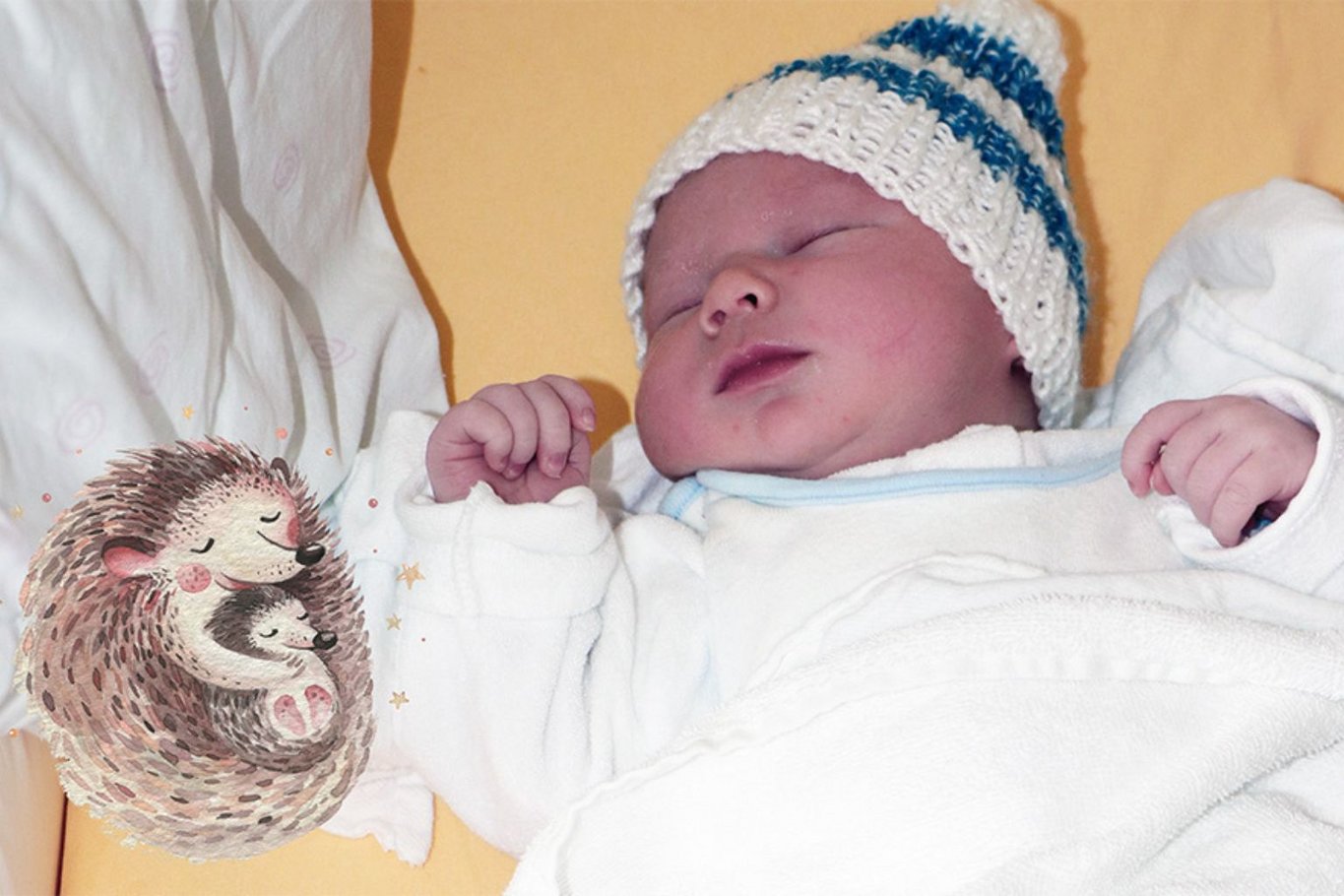 Neugeborenes Baby mit gestrickter Mütze liegt schlafend in einem Krankenhausbett, neben ihm ist ein Igel-Motiv auf der Decke zu sehen.