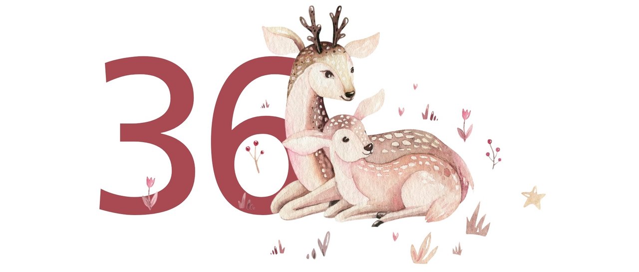 36