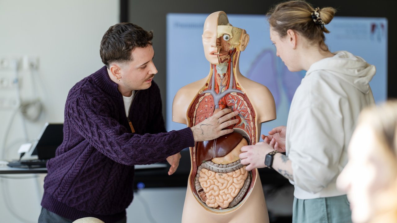 Ein Lehrer zeigt einer Schülerin die Organe des Menschen an einem Model