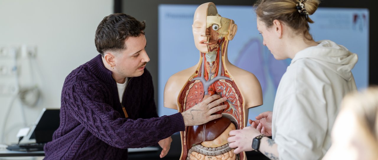 Ein Lehrer zeigt einer Schülerin die Organe des Menschen an einem Model