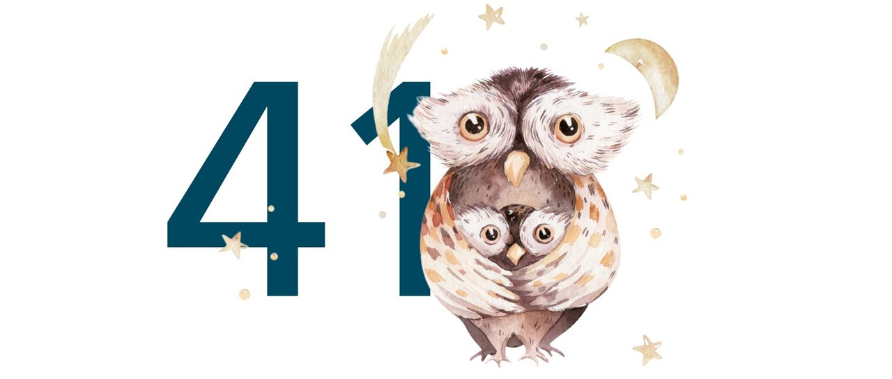 41