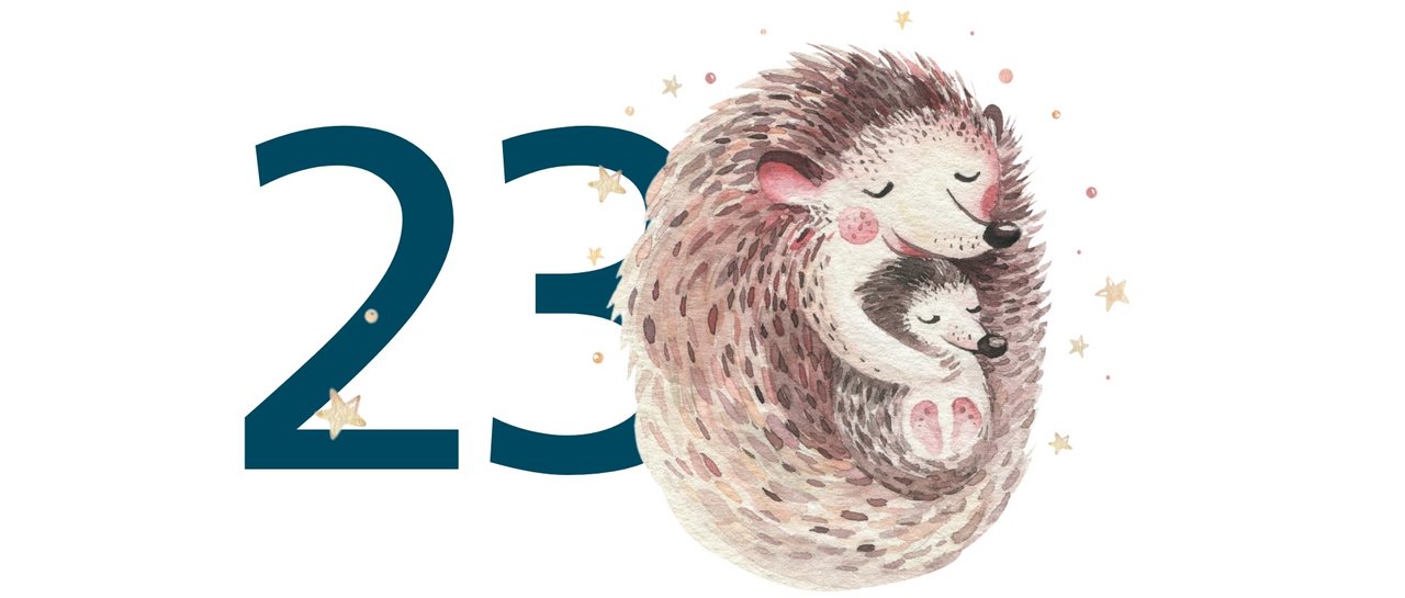23