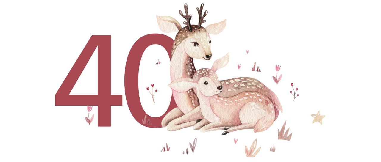 40