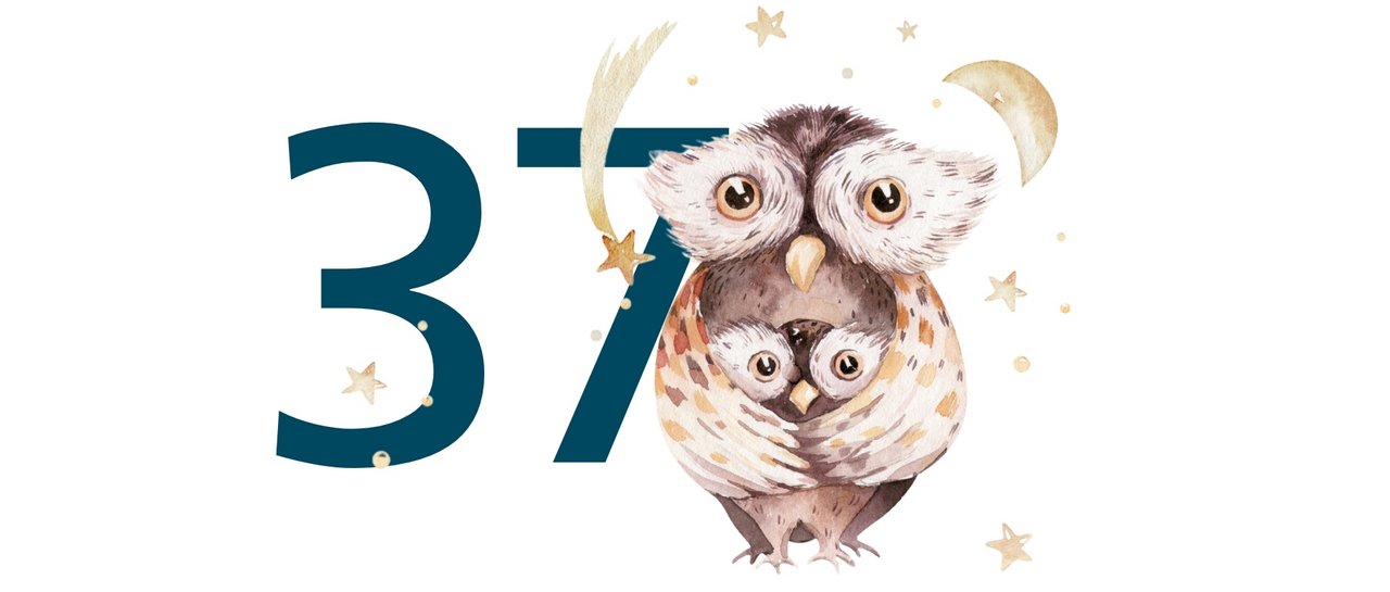 37