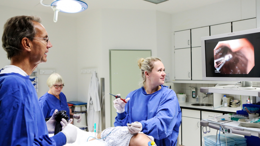 Gast Magenspiegelung 9404 Aspect 16 9 2064 1162 Gast Magenspiegelung 9404 Aspect 16 9 2064 1162