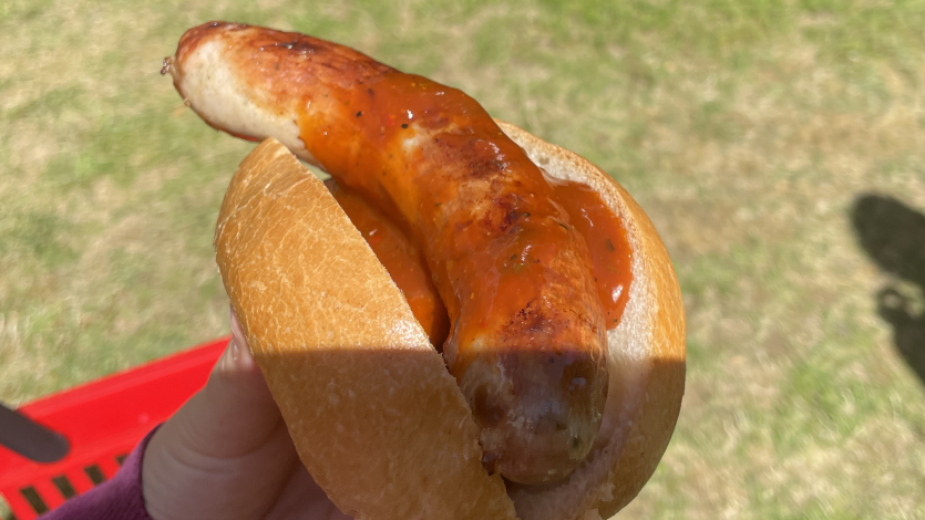 Wildschwein Bratwurst Wildschwein Bratwurst