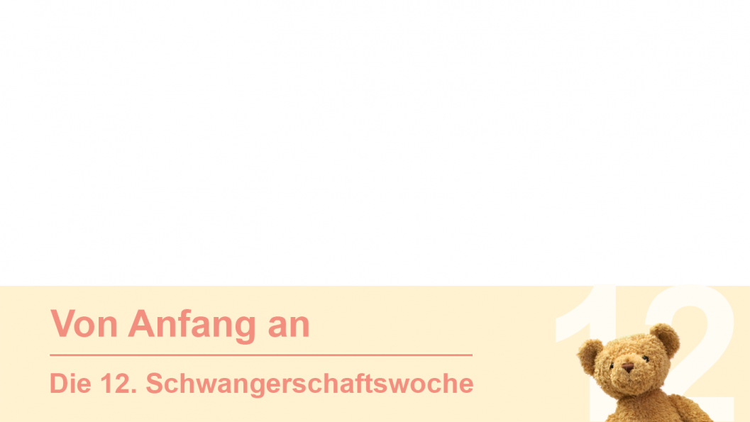 Gruppe 12 Gruppe 12