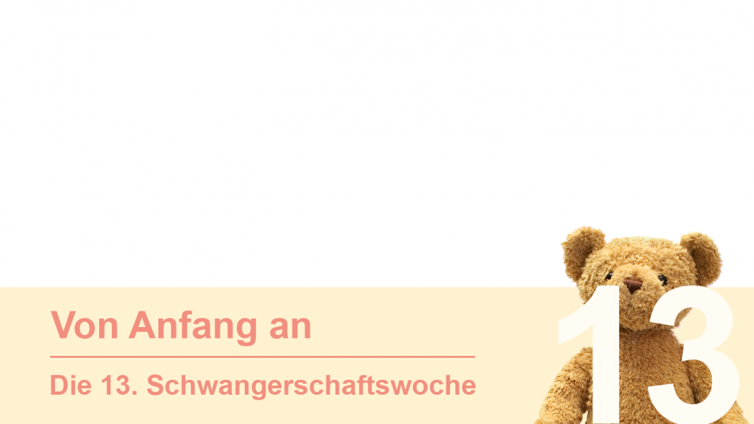 Gruppe 13 Gruppe 13