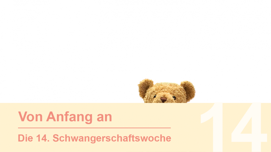 Gruppe 14 Gruppe 14