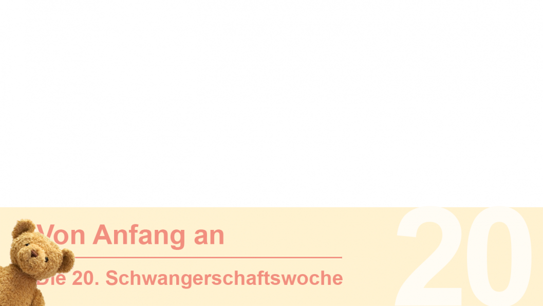Gruppe 20 Gruppe 20