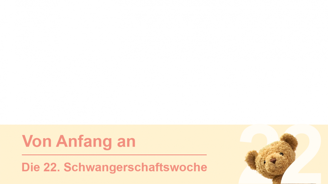 Gruppe 22 Gruppe 22