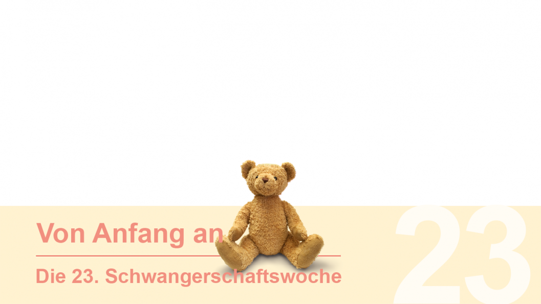 Gruppe 23 Gruppe 23
