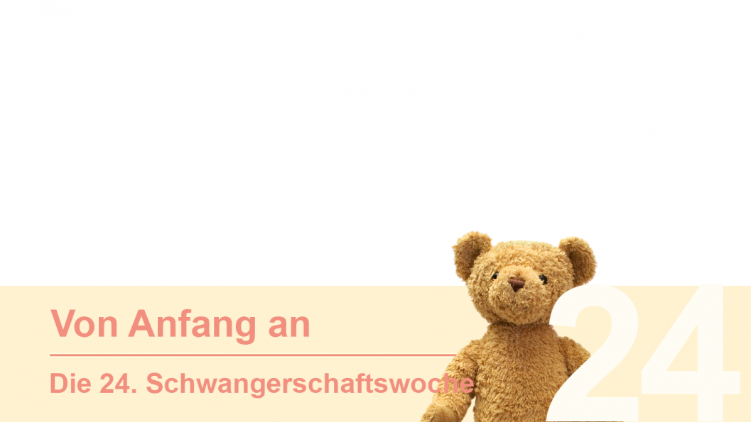 Gruppe 24 Gruppe 24
