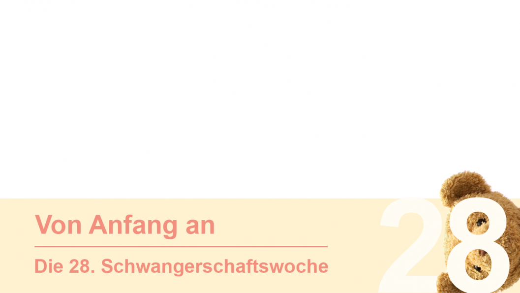 Gruppe 28 Gruppe 28