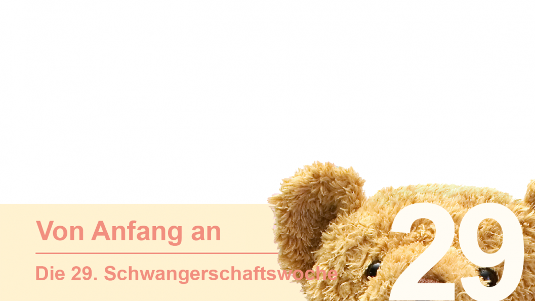 Gruppe 29 Gruppe 29