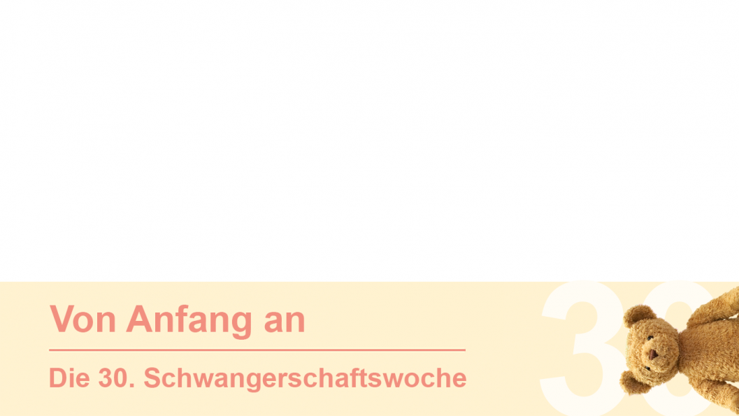 Gruppe 30 Gruppe 30