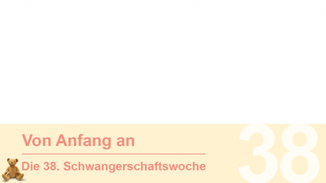 Gruppe 38 Gruppe 38