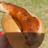 Wildschwein Bratwurst