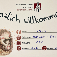 Geburtenzahlen 2023