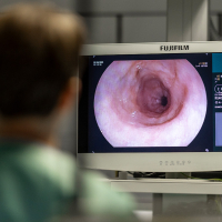 Ehklen beobachtet den Monitor Gastroenterologie in der Endoskopie