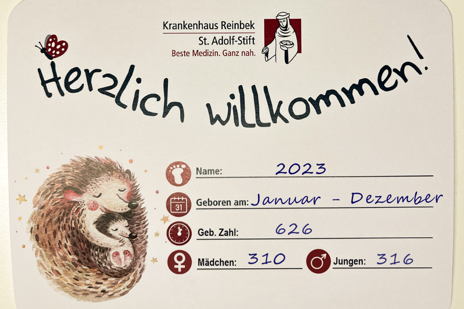 Geburtenzahlen 2023