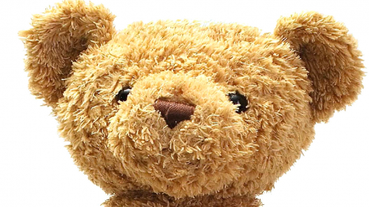 Teddykopf Weiß 1414x798t