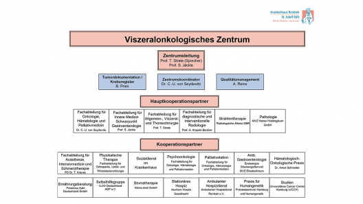 Visio Organigramm Viszeralonkologisches Zentrum Visio Organigramm Viszeralonkologisches Zentrum Web 1414